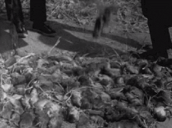 1960년대 한국 국민들 생활모습....gif (움짤 다수) | 인스티즈