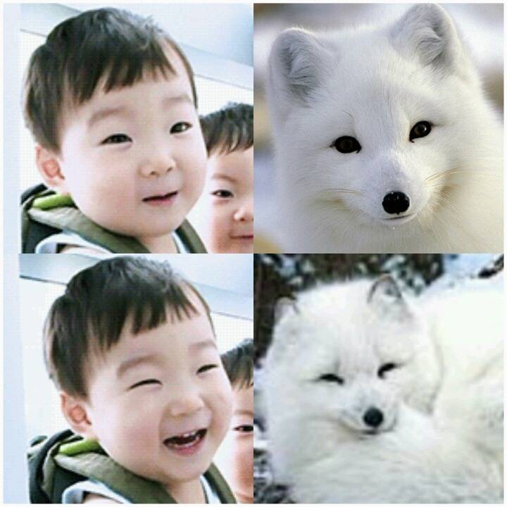 대한이 닮은 꼴.jpg | 인스티즈