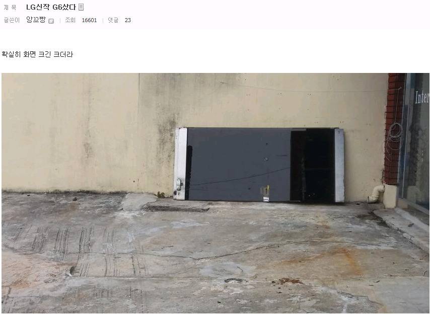 허언증 갤러리 | 인스티즈