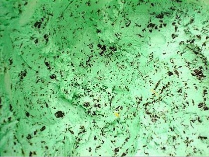 호불호 끝판왕 음식 | 인스티즈