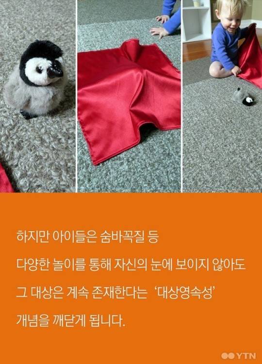 아이들이 반드시 숨바꼭질을 해야하는 이유 | 인스티즈