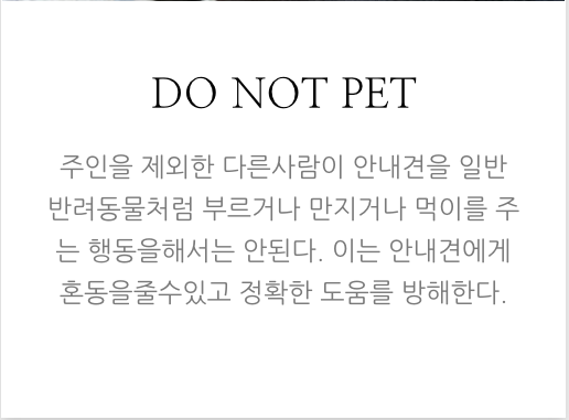 안내견에 대한 잘 몰랐던 사실들.. 그 개를 알고싶다! 안내견편!! | 인스티즈