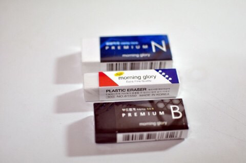 최지우가 기르는 개 | 인스티즈