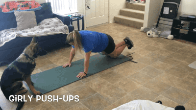 푸쉬업할때 개와 고양이의 반응.gif | 인스티즈