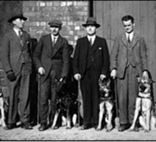 안내견에 대한 잘 몰랐던 사실들.. 그 개를 알고싶다! 안내견편!! | 인스티즈