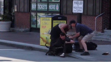 보스턴 산책 중 핏불에게 공격당하는 비글.jpgif (혐오주의) | 인스티즈