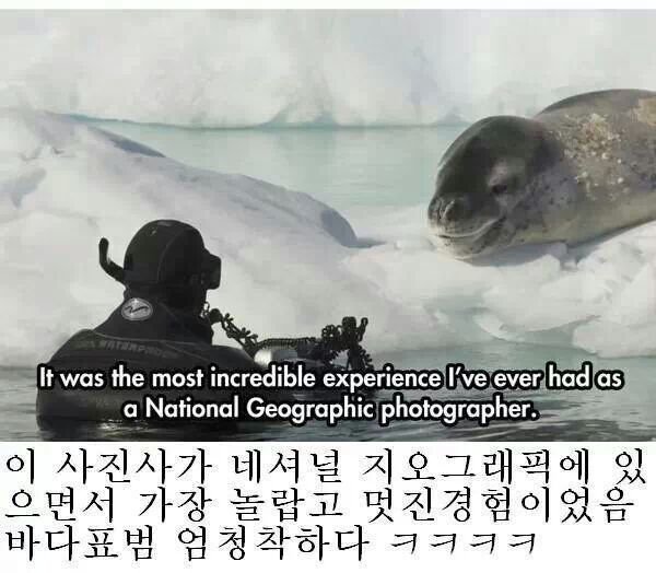 네셔널 지오그래픽 레전드 사건 | 인스티즈