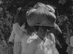 1960년대 한국 국민들 생활모습....gif (움짤 다수) | 인스티즈