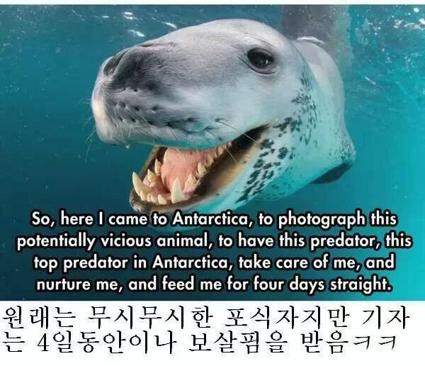 네셔널 지오그래픽 레전드 사건 | 인스티즈