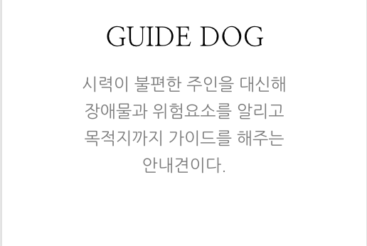 안내견에 대한 잘 몰랐던 사실들.. 그 개를 알고싶다! 안내견편!! | 인스티즈