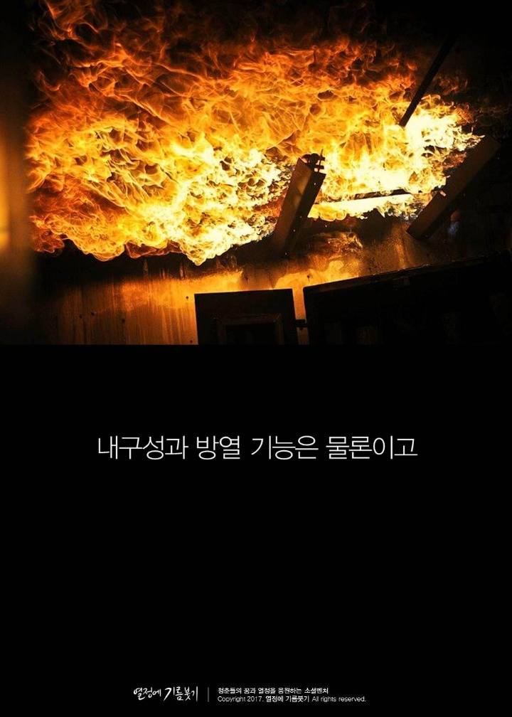 뉴스에 나오지 않은 게 신기한 이야기 | 인스티즈