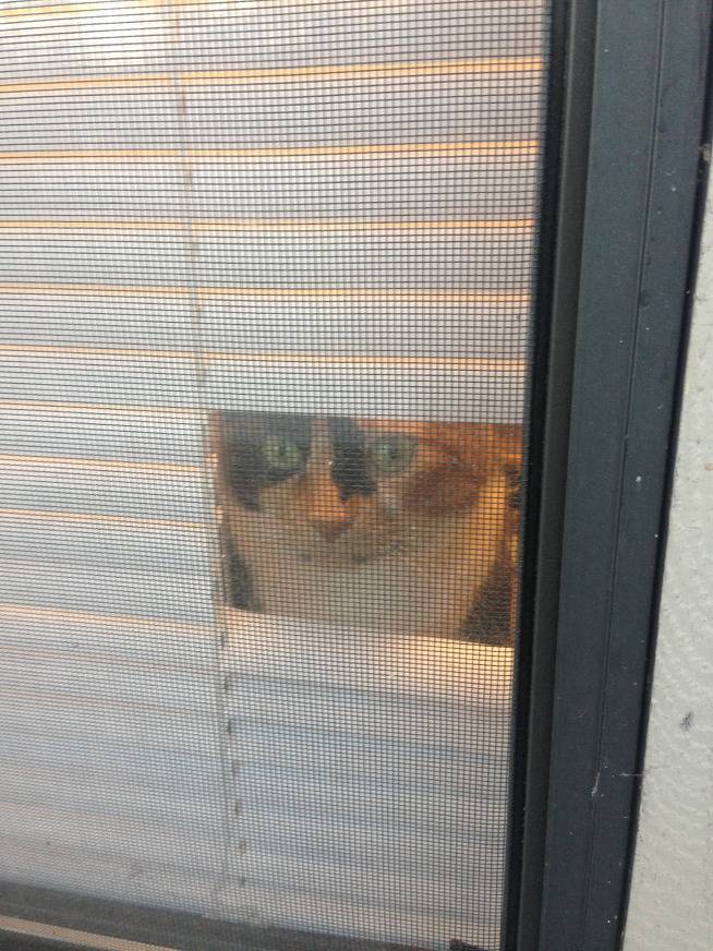 집사의 배려 | 인스티즈