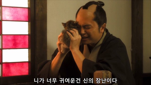 고양이를 키우는 사람들의 마음.jpg | 인스티즈