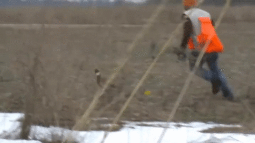 신궁이라 불리는 사나이 | 인스티즈