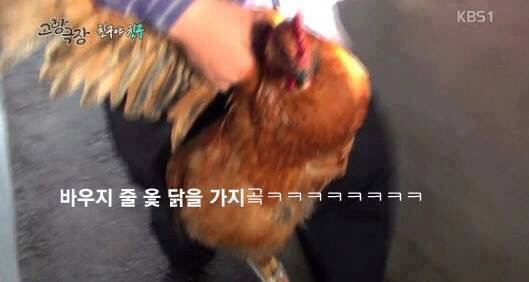 진정한 친구란 | 인스티즈