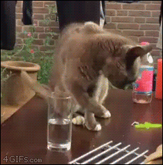 약올리기.gif | 인스티즈