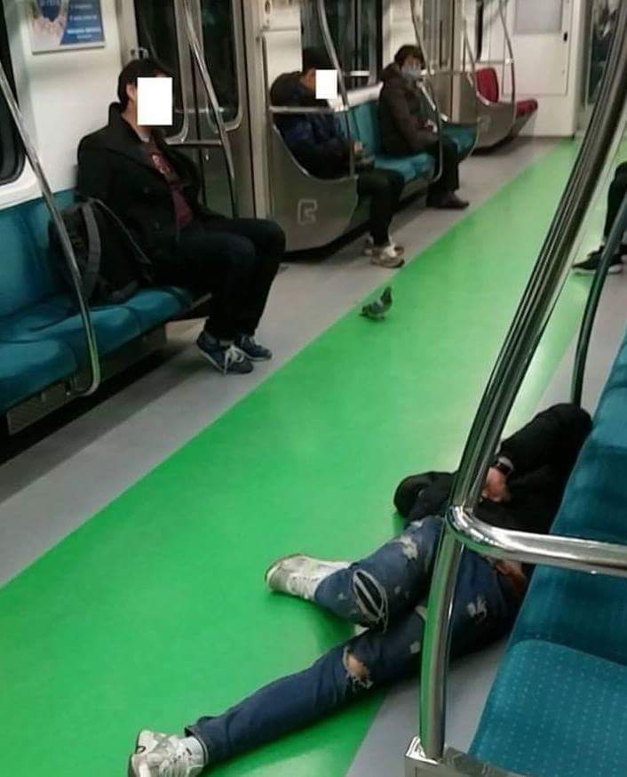 호불호 안 갈리는 동물 | 인스티즈