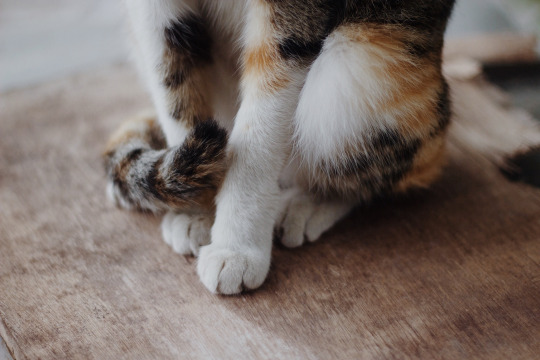  환하게 불 켜고 자는 밤 | 인스티즈