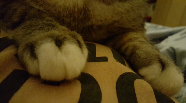 간단하게 의자를 귀엽게 만드는 방법 | 인스티즈