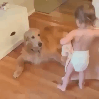 개를 많이 아끼는 주인.gif | 인스티즈