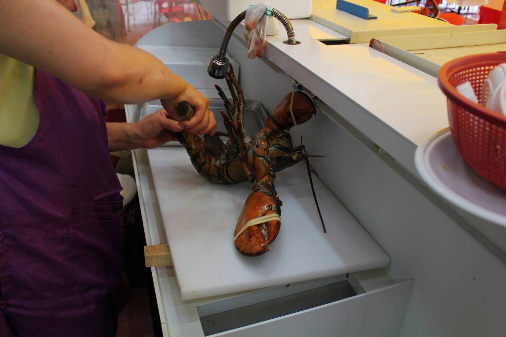 새우의 위엄.jpg | 인스티즈