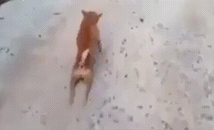 연기대상.gif | 인스티즈