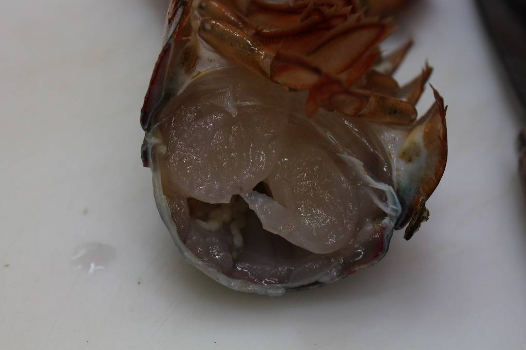 새우의 위엄.jpg | 인스티즈