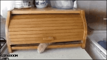 사람들이랑 교류 안하고 혼자 지내고 싶어하는 날일 때의 나.gif | 인스티즈