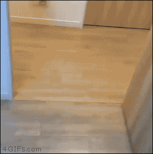 여기 내 자리!.gif | 인스티즈