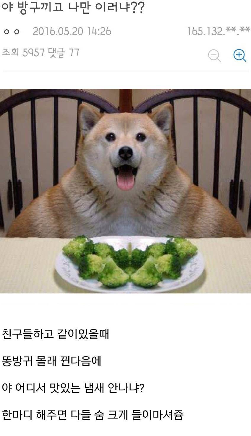 잔인한 놈.jpg | 인스티즈