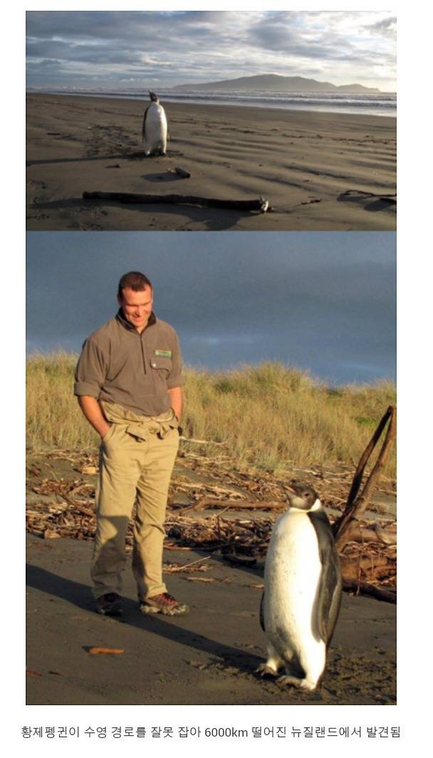 길치 레전드.jpg | 인스티즈