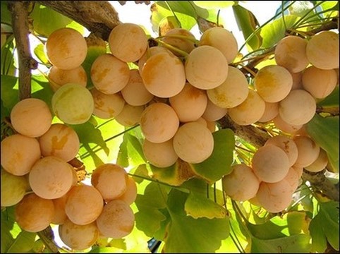 곧 만나게 될 아이들 | 인스티즈