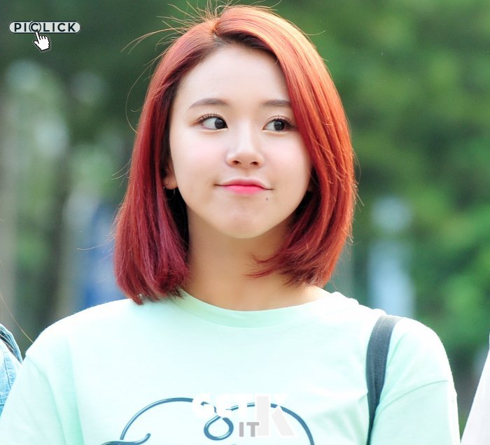 [트와이스] 뮤뱅 트둥이들 | 인스티즈