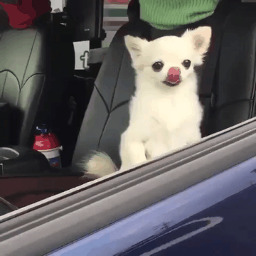 ??? : 야 그만 자고 좀 일어나 봐 | 인스티즈