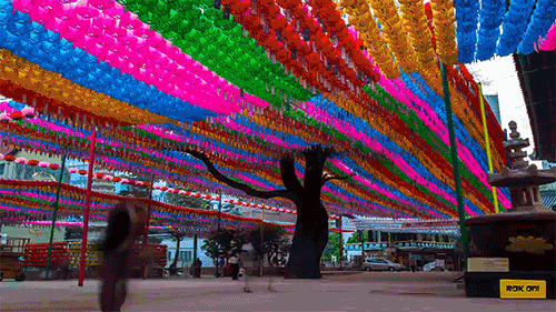 외국인의 눈에 비친 서울 | 인스티즈