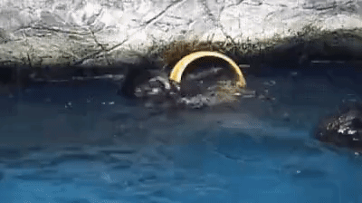 반지의제왕 | 인스티즈