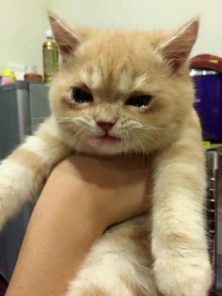 내가그런거 아니란말야 | 인스티즈