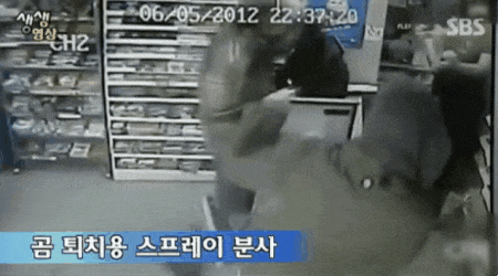 곰 퇴치 스프레이의 위력 | 인스티즈