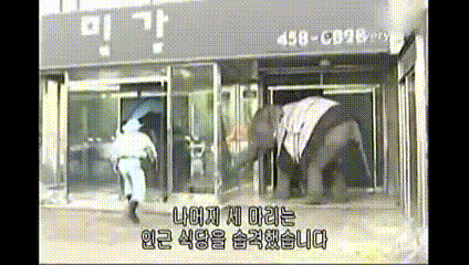 코끼리가 다녀간 가게 | 인스티즈