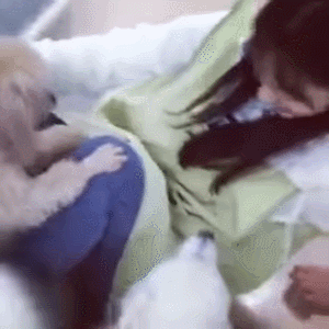 미인을 알아보는 강아지.gif | 인스티즈