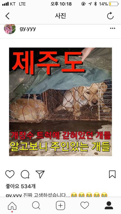 보신탕이 문제인 이유 | 인스티즈