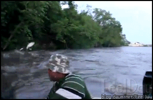 낚시대 없이 고기잡는곳.gif | 인스티즈