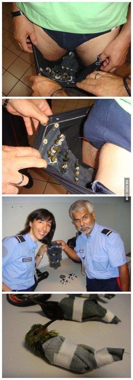 특이점이 온 밀반입...jpg | 인스티즈