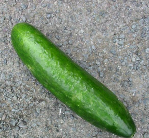 의외로 싫어하는 사람 많은 음식 | 인스티즈