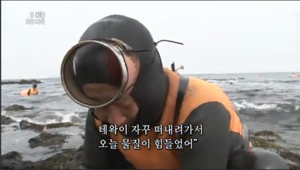 SNS용 사진한장 찍으려 했을뿐인데 인터넷에서 점점 유명해져감 | 인스티즈