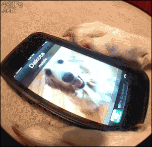 데이트 gif | 인스티즈