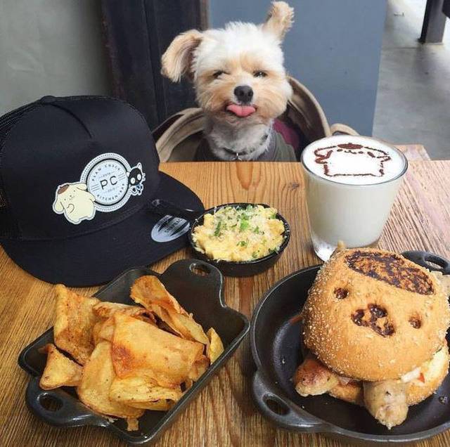 멍뭉이와 떠난 세계여행 | 인스티즈