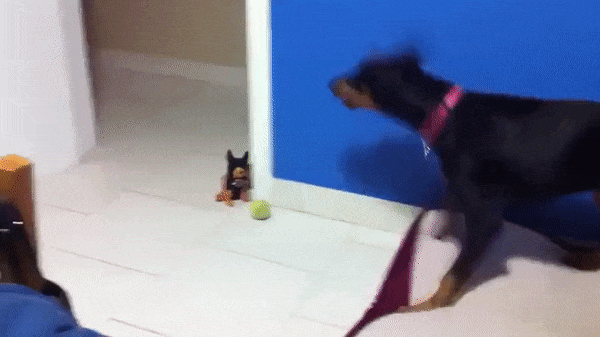 친구? 적? | 인스티즈