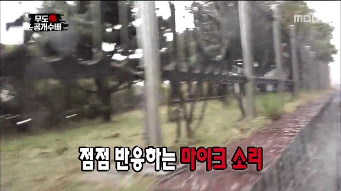 [무한도전] 카메라 감독이 숨어있는 무도 멤버 찾는 법.jpg | 인스티즈