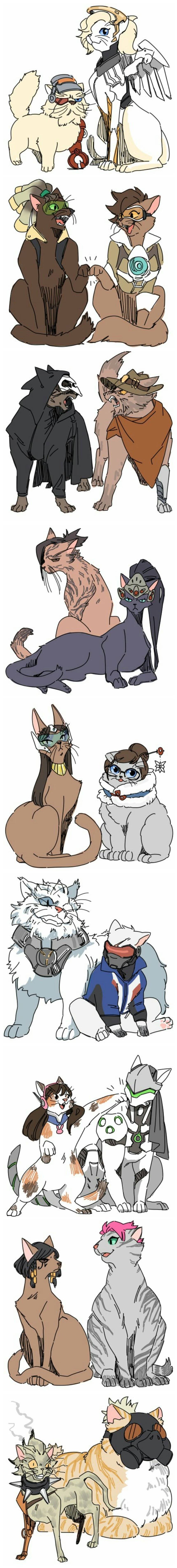 [고급시계] 고양이 버전.jpg | 인스티즈